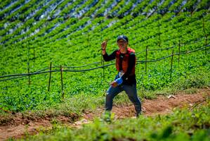 BIB: 
                            <button type="button" onclick="openModal(19164278)" class="btn btn-primary btn-sm float-right btn-popup" data-toggle="modal" data-target=".modal-high-quality">
                        <i class="fas fa-shopping-cart"></i> Add to Cart
                    </button>
                                            <button type="button" onclick="isThisMe(19164278, true)" class="btn btn-success btn-sm float-right btn-popup btn-isme hidden" data-toggle="tooltip" data-placement="bottom" title="นี่คือรูปของคุณใช่ไหม คลิกที่นี่เพื่อเอาเข้าอัลบั้ม">
                        <i class="fas fa-plus"></i> Add to album
                    </button>
                    <button type="button" onclick="isThisMe(19164278, false)" class="btn btn-warning btn-sm float-right btn-popup btn-isnotme hidden">
                        <i class="fas fa-ban"></i> Remove from album
                    </button>